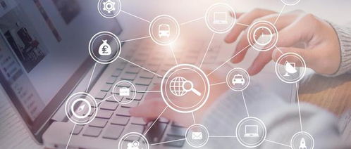 情深搜查 婚姻记录在线一查究竟与信息咨询指南